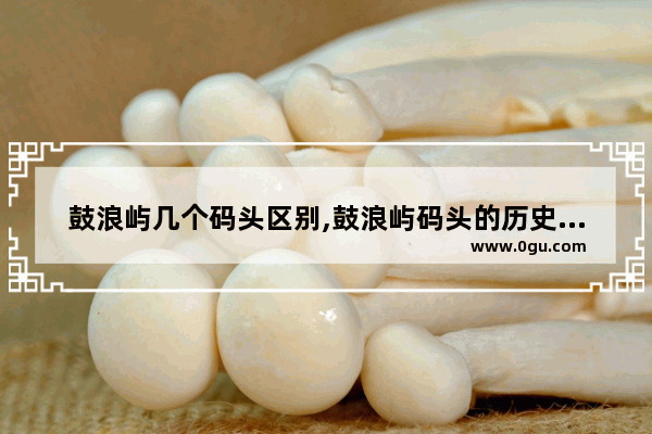 鼓浪屿几个码头区别,鼓浪屿码头的历史文化