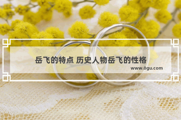 岳飞的特点 历史人物岳飞的性格