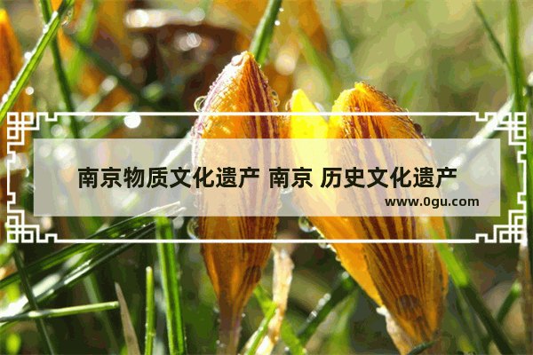 南京物质文化遗产 南京 历史文化遗产