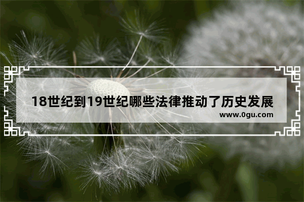 18世纪到19世纪哪些法律推动了历史发展_历史被执行记录影响征信吗