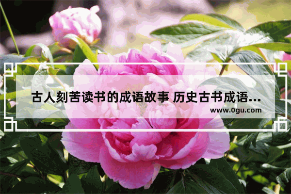 古人刻苦读书的成语故事 历史古书成语故事