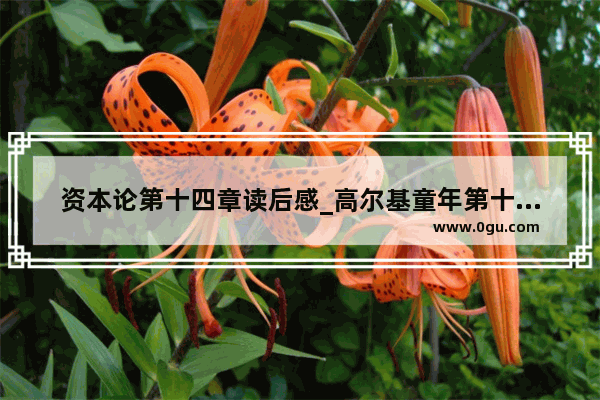 资本论第十四章读后感_高尔基童年第十四章读后感
