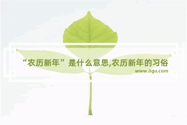 “农历新年”是什么意思,农历新年的习俗