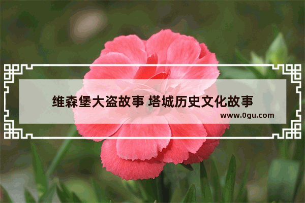 维森堡大盗故事 塔城历史文化故事