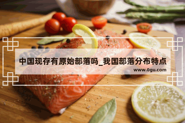 中国现存有原始部落吗_我国部落分布特点