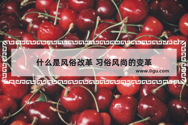 什么是风俗改革 习俗风尚的变革
