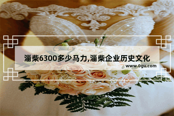 淄柴6300多少马力,淄柴企业历史文化