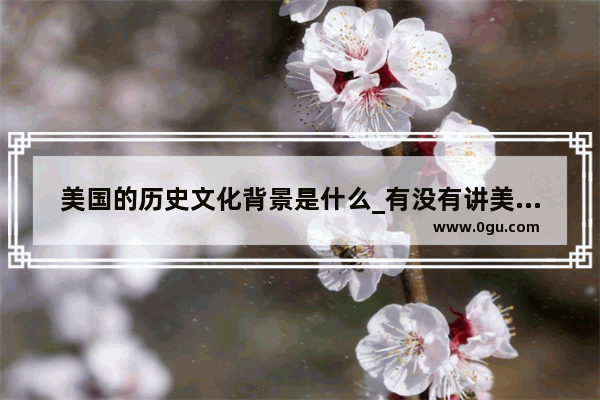 美国的历史文化背景是什么_有没有讲美国历史 文化 地理的书推荐