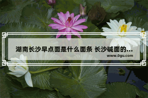 湖南长沙早点面是什么面条 长沙碱面的历史文化