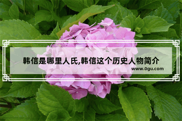韩信是哪里人氏,韩信这个历史人物简介