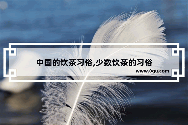 中国的饮茶习俗,少数饮茶的习俗