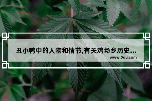 丑小鸭中的人物和情节,有关鸡场乡历史人物