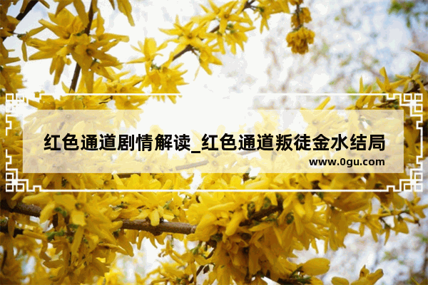 红色通道剧情解读_红色通道叛徒金水结局