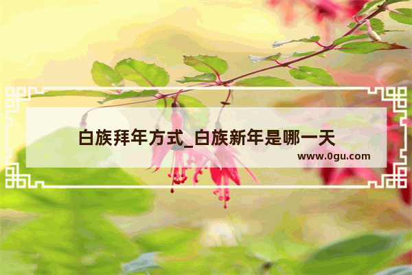 白族拜年方式_白族新年是哪一天