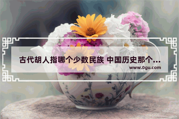 古代胡人指哪个少数民族 中国历史那个不是汉族