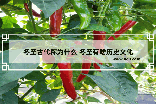冬至古代称为什么 冬至有啥历史文化
