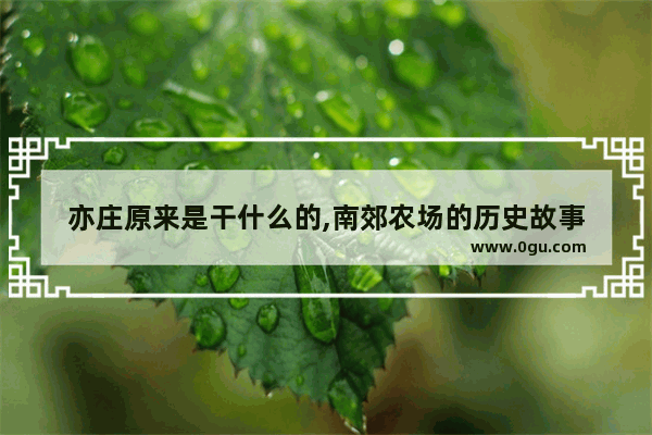 亦庄原来是干什么的,南郊农场的历史故事