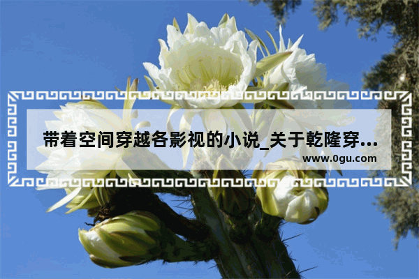 带着空间穿越各影视的小说_关于乾隆穿越或重生的文