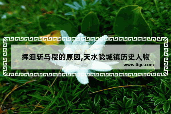 挥泪斩马稷的原因,天水陇城镇历史人物