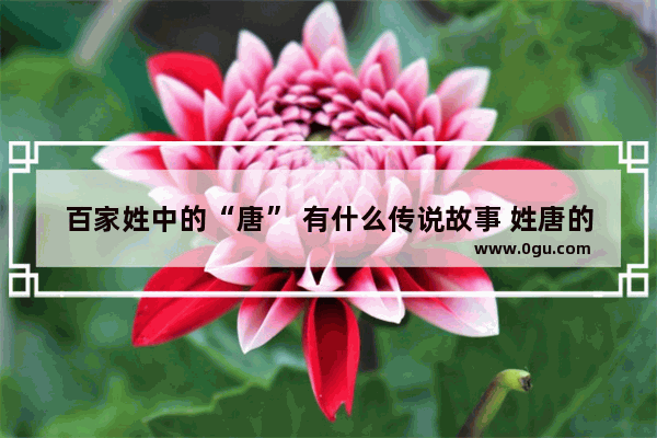 百家姓中的“唐” 有什么传说故事 姓唐的历史文化