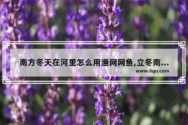 南方冬天在河里怎么用渔网网鱼,立冬南方的习俗