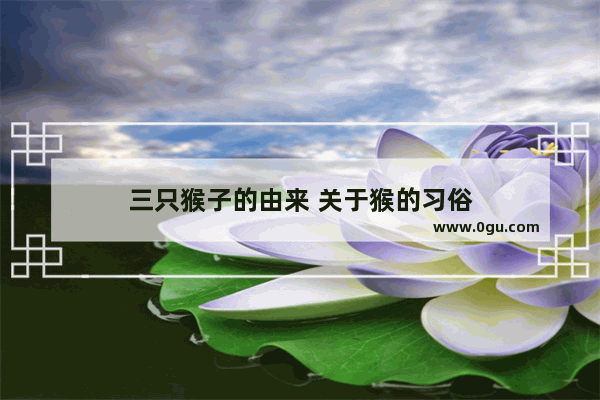 三只猴子的由来 关于猴的习俗