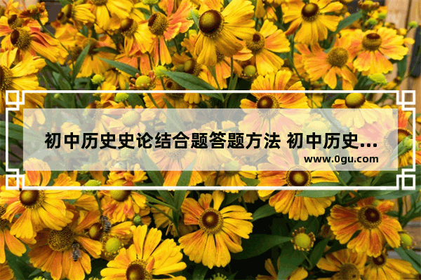 初中历史史论结合题答题方法 初中历史世界历史综合题