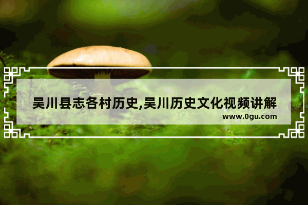 吴川县志各村历史,吴川历史文化视频讲解