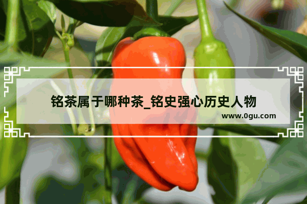 铭茶属于哪种茶_铭史强心历史人物
