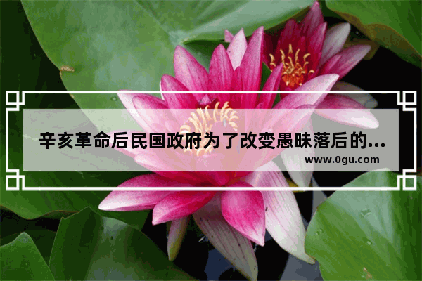 辛亥革命后民国政府为了改变愚昧落后的社会习俗采取了哪些措施 落后的传统习俗