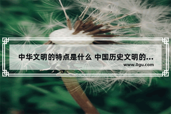 中华文明的特点是什么 中国历史文明的魅力