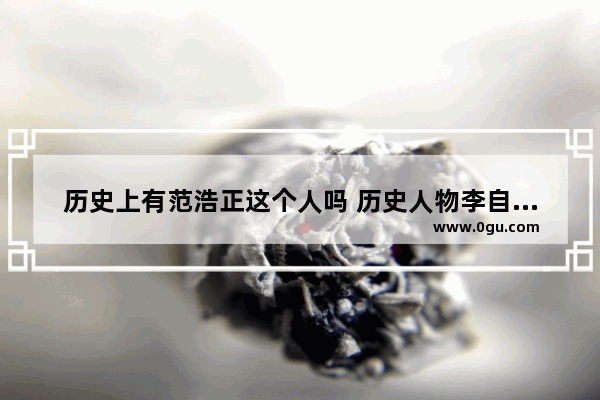 历史上有范浩正这个人吗 历史人物李自成简历