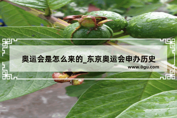 奥运会是怎么来的_东京奥运会申办历史