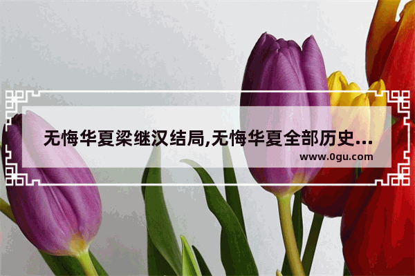 无悔华夏梁继汉结局,无悔华夏全部历史人物