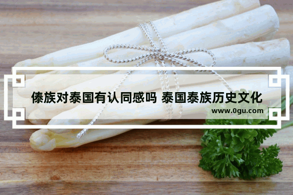 傣族对泰国有认同感吗 泰国泰族历史文化