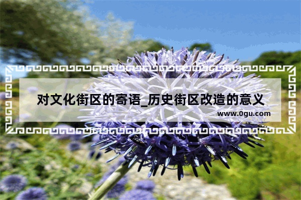 对文化街区的寄语_历史街区改造的意义