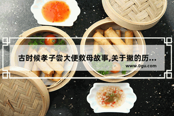 古时候孝子尝大便救母故事,关于撇的历史故事