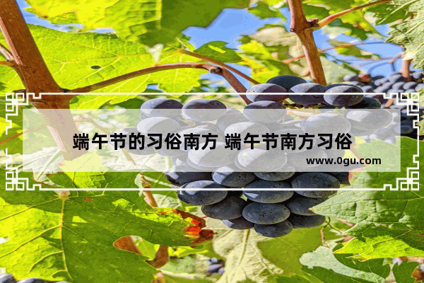 端午节的习俗南方 端午节南方习俗