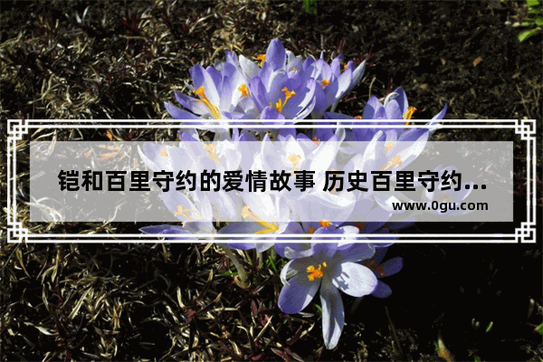 铠和百里守约的爱情故事 历史百里守约故事