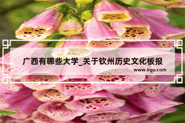 广西有哪些大学_关于钦州历史文化板报