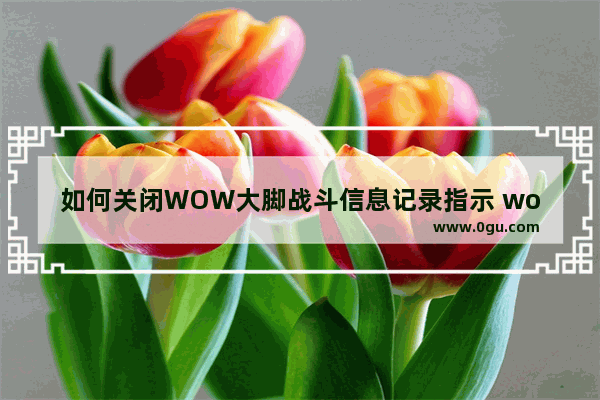 如何关闭WOW大脚战斗信息记录指示 wow中国历史纪录