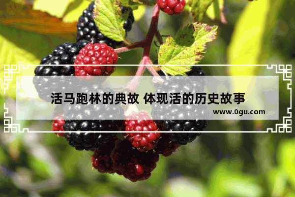 活马跑林的典故 体现活的历史故事