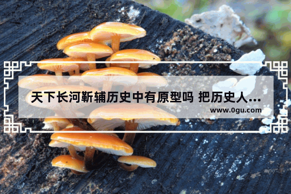天下长河靳辅历史中有原型吗 把历史人物作为原型