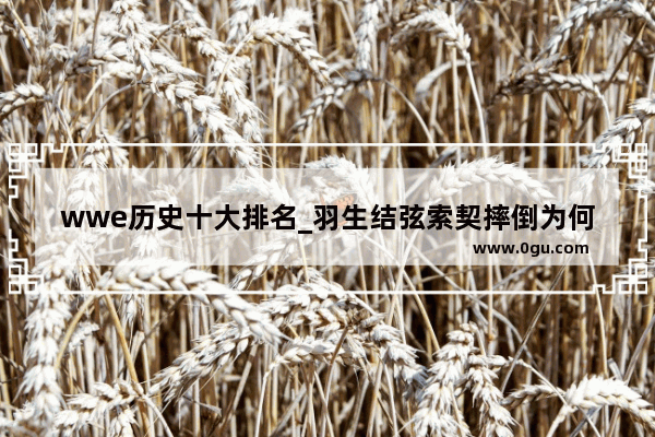 wwe历史十大排名_羽生结弦索契摔倒为何还会夺冠