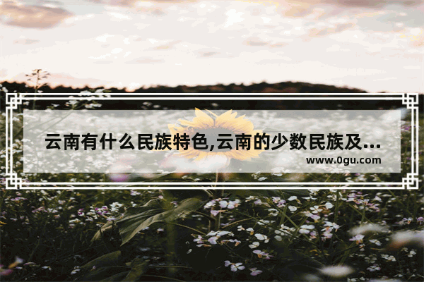 云南有什么民族特色,云南的少数民族及习俗