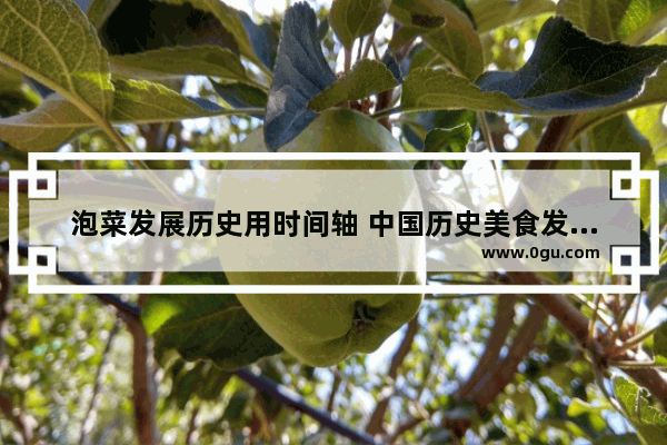 泡菜发展历史用时间轴 中国历史美食发展进程