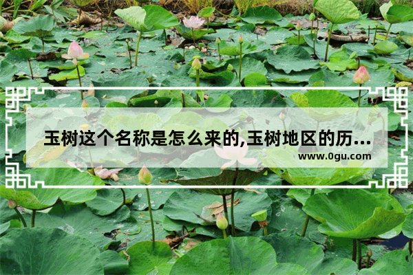 玉树这个名称是怎么来的,玉树地区的历史文化