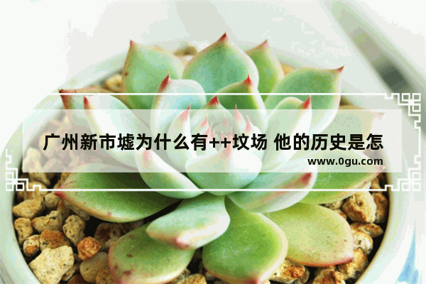 广州新市墟为什么有++坟场 他的历史是怎样的？越详细越好_广州农村商业银行跟广州农商银行是同一个银行吗