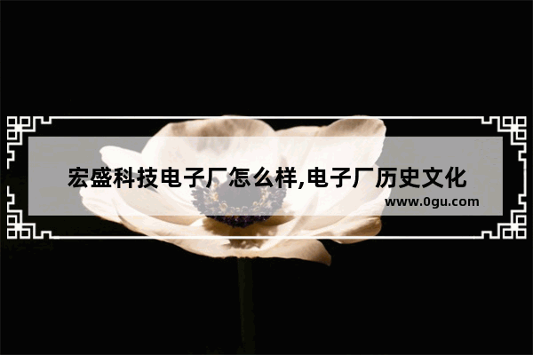 宏盛科技电子厂怎么样,电子厂历史文化