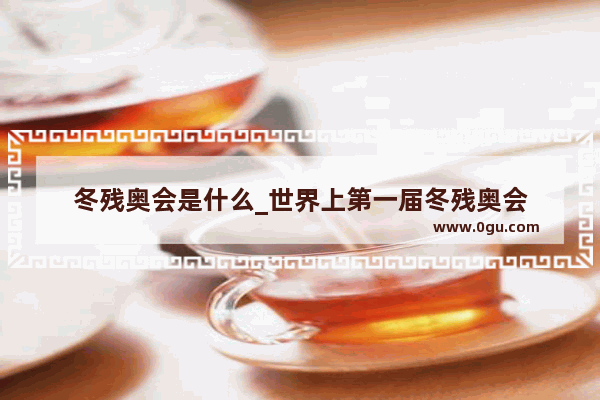 冬残奥会是什么_世界上第一届冬残奥会
